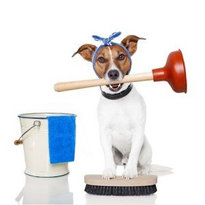 Emergency Plumbing Pembroke Pines Dog