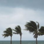 Hurricane Season Preparedness Checklist