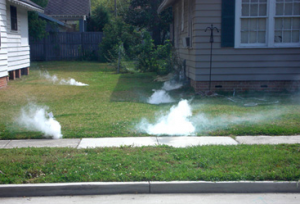 smoke tests - Sanitary Sewer Evaluation Survey