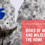 Risks Of Mold and Mildew in The Home