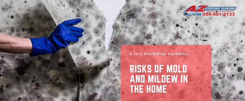 Risks Of Mold and Mildew in The Home