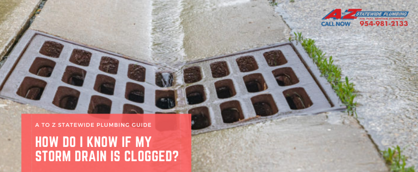 Storm drain clogging