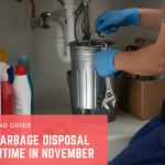 Why Your Garbage Disposal Works Overtime in November (and How to Protect It)