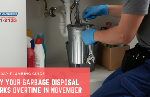 Why Your Garbage Disposal Works Overtime in November